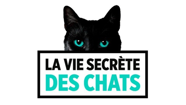 la vie secrete des chats TF1 - Atlantis Télévision