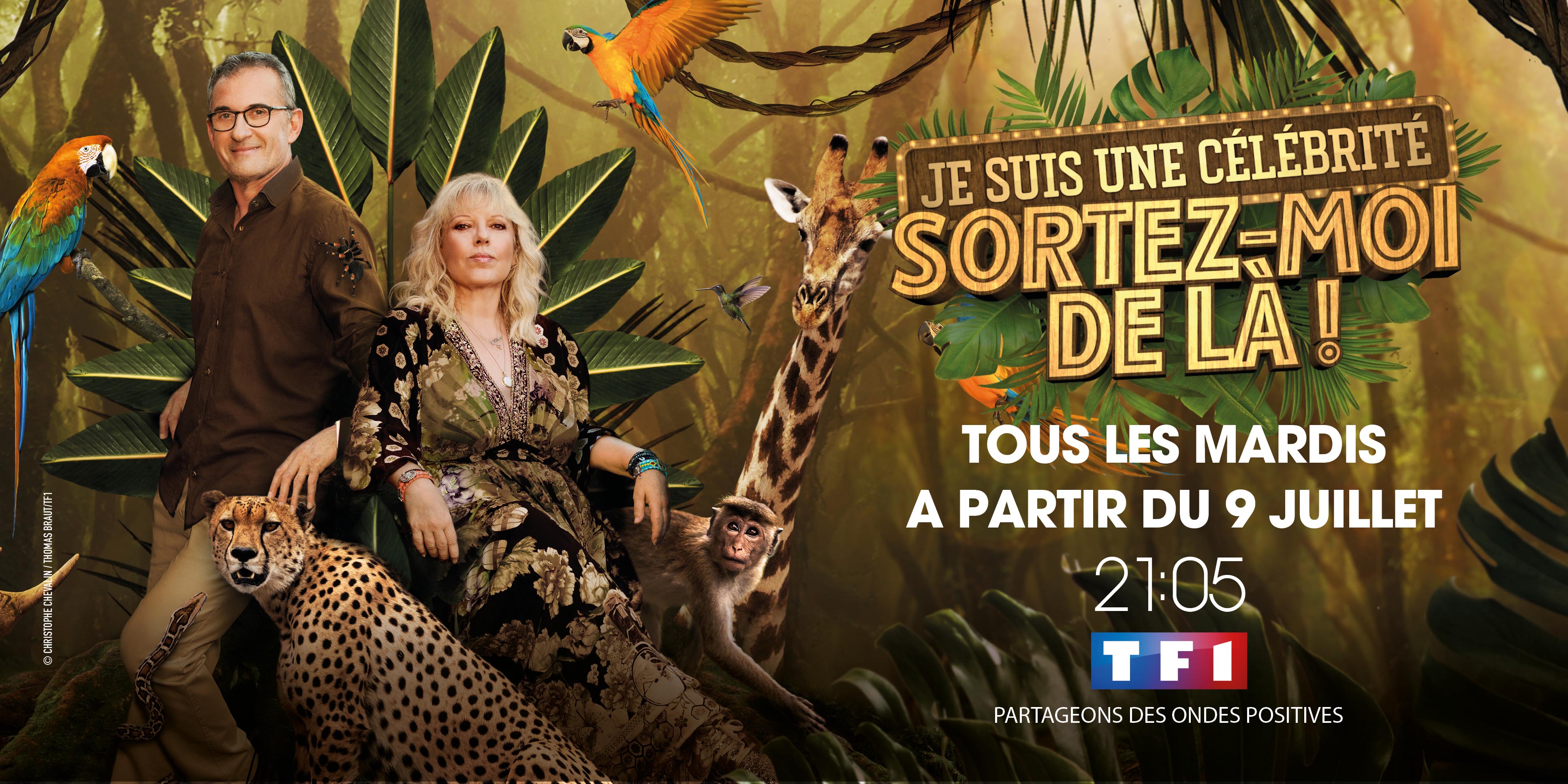 Je Suis Une Célébrité Sortez Moi De La je suis une célébrité sortez-moi de là ! - Atlantis Télévision